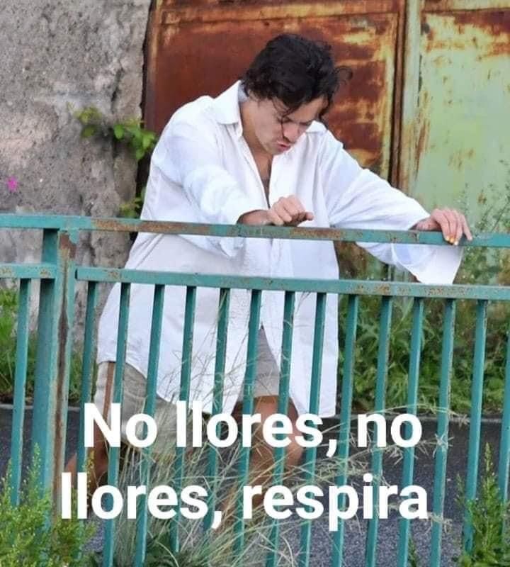 elyfer57204740's tweet photo. Yo después de escuchar #AsItWas: https://t.co/cgB0x1cefb