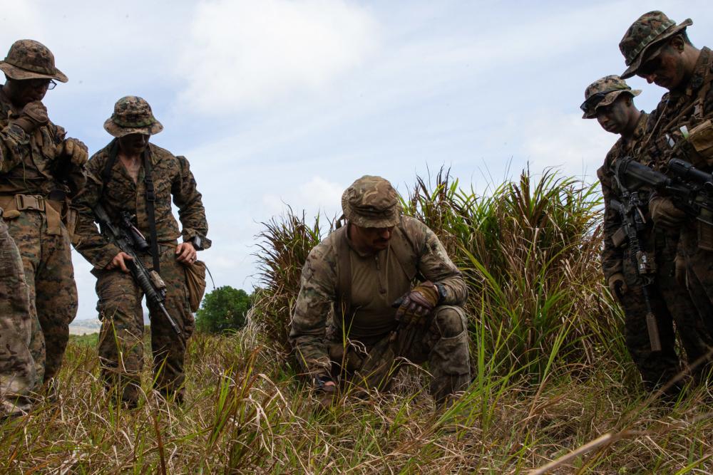 #Marines with @31stMeu and @RoyalMarines participated in an experimental jungle training exercise. @USMC Lance Cpl. Yvonne Iwae #USMC #military #BritishRoyalMarines #FreeandOpenIndoPacific
