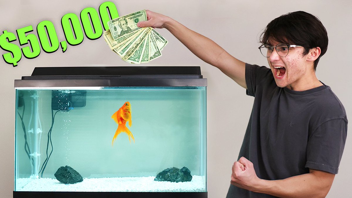 michaelreeves's tweet image. Guys the upload button is actually in the top right of the youtube page, been looking for that for a while
Fish Trades Stocks, link in comment