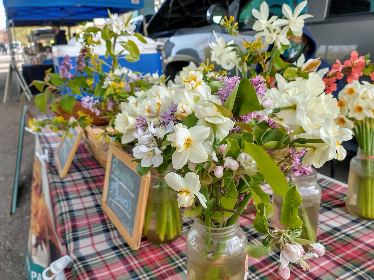 haymakermarket's tweet photo. Outdoor Market 10am-1pm! - https://t.co/A5aqmliZxI https://t.co/tNK3oX36C5