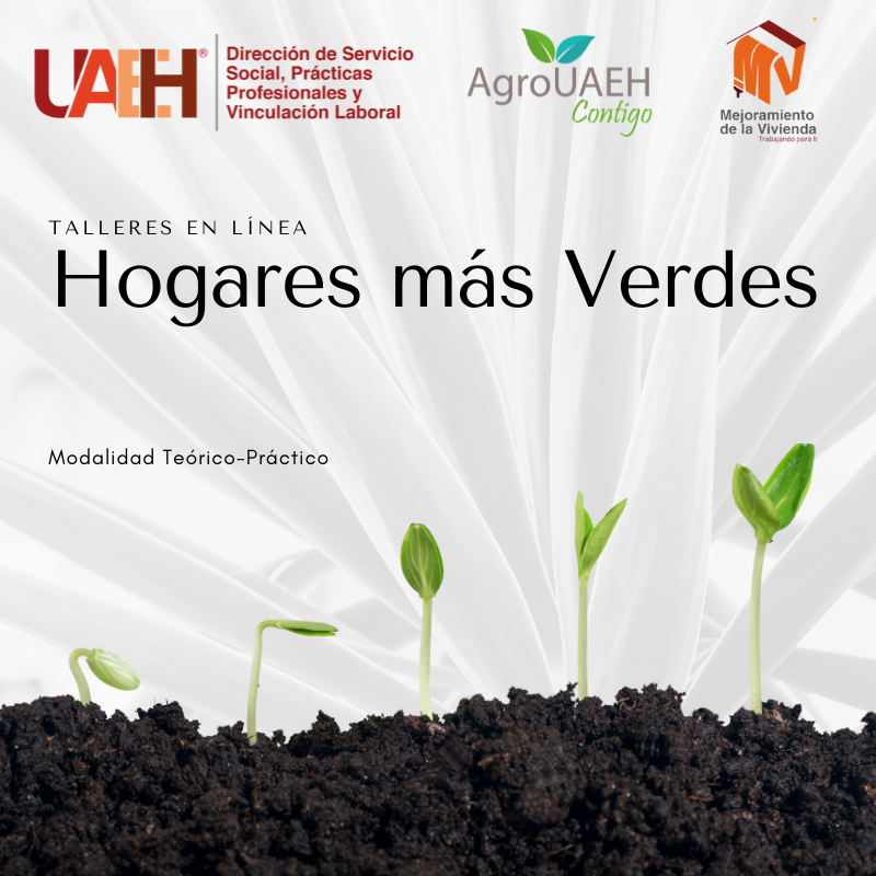 UAEH on Twitter: "La Dirección de Servicio Social, Prácticas