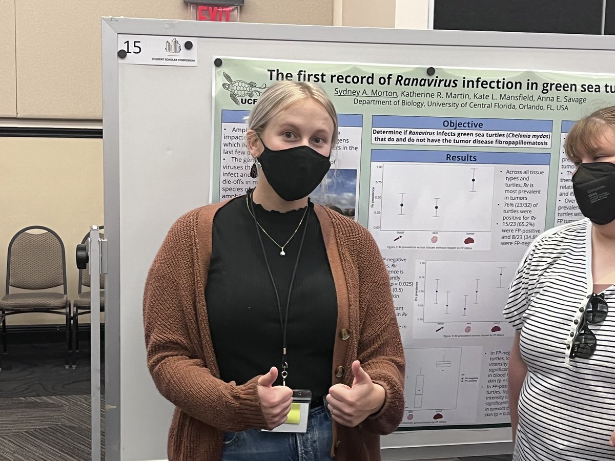 mattylarsen30's tweet photo. Congratulations to @sydneymortonx and Steven Elsaid for their incredible work! Youโve both done some fantastic research and it was great hearing you present. @UCFTurtleLab @UCFSciences @UCFBiologyDept #ucfresearchweek https://t.co/kcGqktCrEH