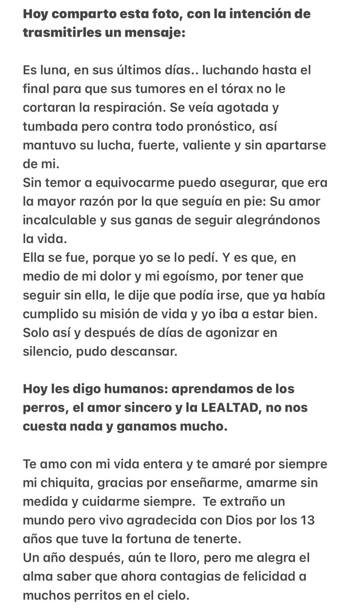 camilasafarc's tweet photo. Te amo hasta más allá del infinito chiqui de mi vida🤍 https://t.co/RKxlzXqQy3