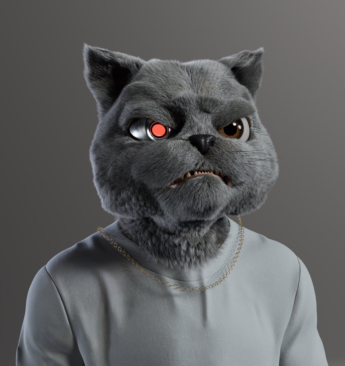 Planet XOLO tweet media