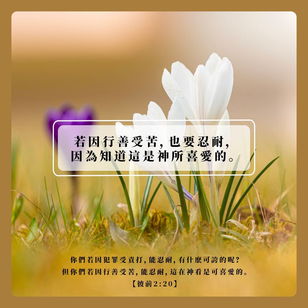 ISeeLight_t's tweet photo. 彼前(1 Peter)2:20 你們若因犯罪受責打而忍耐,有甚麼可稱讚的呢?但你們若因行善受苦而忍耐,這在 神看來是可讚許的。
☞https://t.co/Kv7m5Nt3k2
#每日經文 #華語基督徒 #聖經分享交流 #DailyBibleVerse #ISEELIGHT https://t.co/GhvXxXZYy3