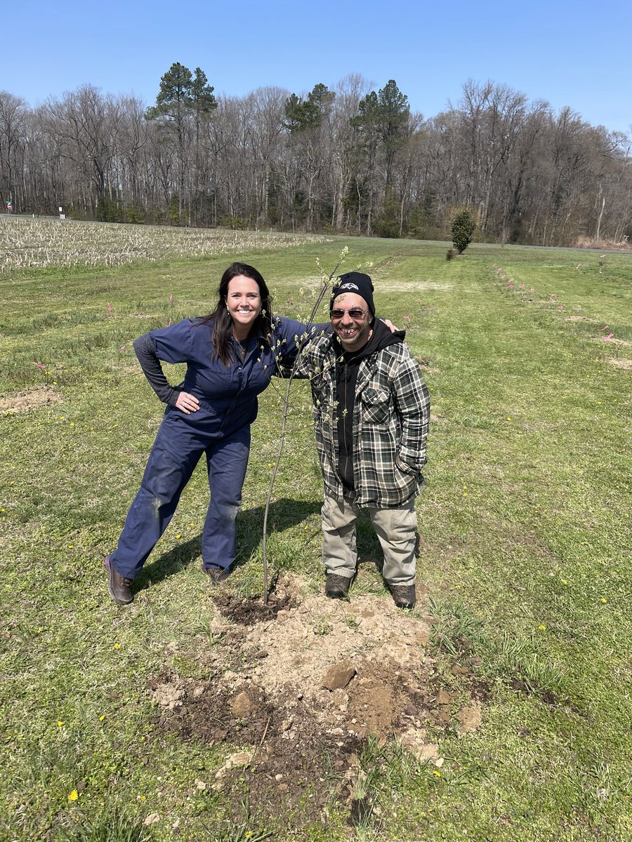 mdforests's tweet photo. Our agroforestry planting at Mt. Pleasants Acres was a success!
Agroforestry mixes trees &amp; shrubs into crop and/or animal systems to create environmental, economic, &amp; social benefits. In this case, the farm produces a nutritious foods which are shipped to innercity food deserts. https://t.co/vStEI8wrFk