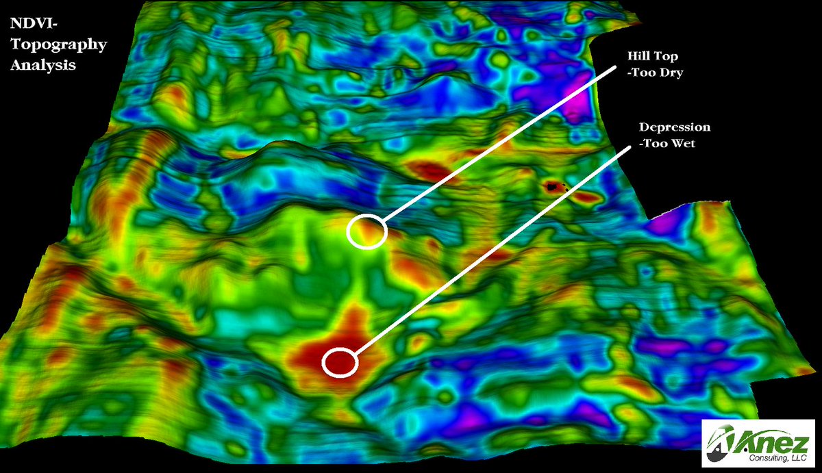 michaeldunnCCA's tweet photo. What #NDVI tells us:
Relative differences in chlorophyll content
What it doesn't:
Nutrient status, moisture stress, disease incidence, compaction, soil organic matter, nutrient use efficiency, etc
#BeyondNDVI #4DAgronomy https://t.co/CWMs7kFk0Z