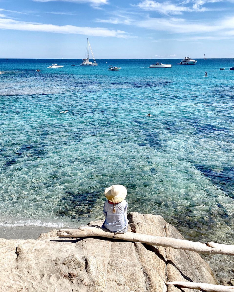 Spytail Rum tweet media