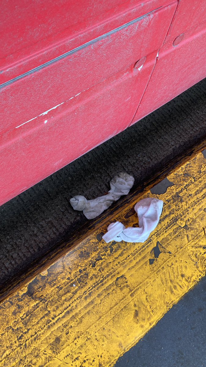MainPoop's tweet photo. @TTChelps I am branching out! #castlefrank https://t.co/t2S9MlmvGV
