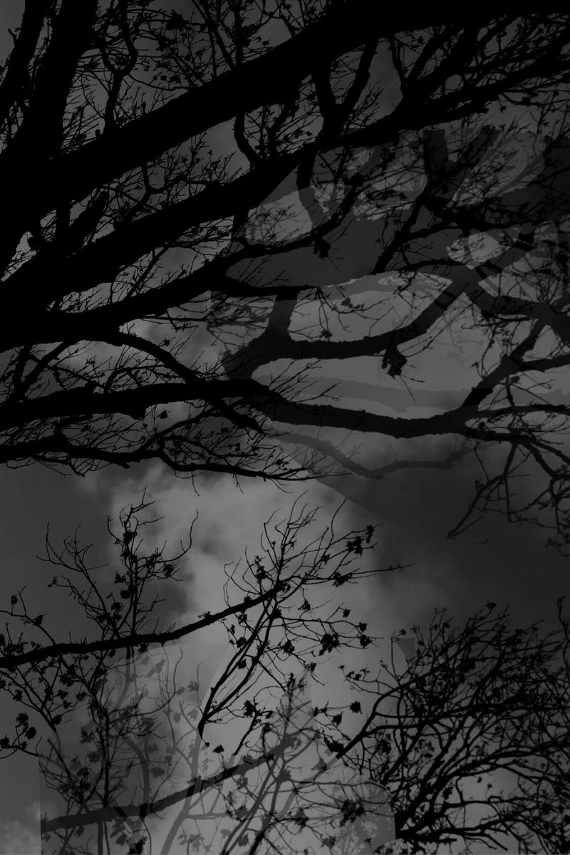 avicharding's tweet photo. Some bnw #filmschool2022 #blackandwhitephotography https://t.co/JBQZO1N3RH