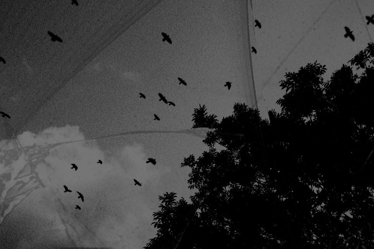 avicharding's tweet photo. Some bnw #filmschool2022 #blackandwhitephotography https://t.co/JBQZO1N3RH