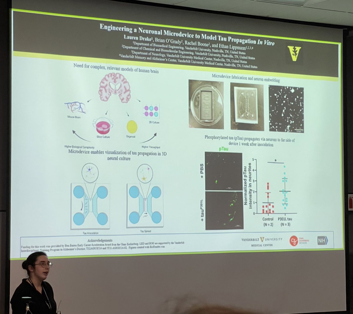 @LaurenDrake0, a 2nd year @BiomedVandy PhD student, presents her work on developing a model of tau propagation #VandyADDay #EndALZ #WomenInSTEM @LippmannLabVU @VanderbiltAlz @AJtheScientist