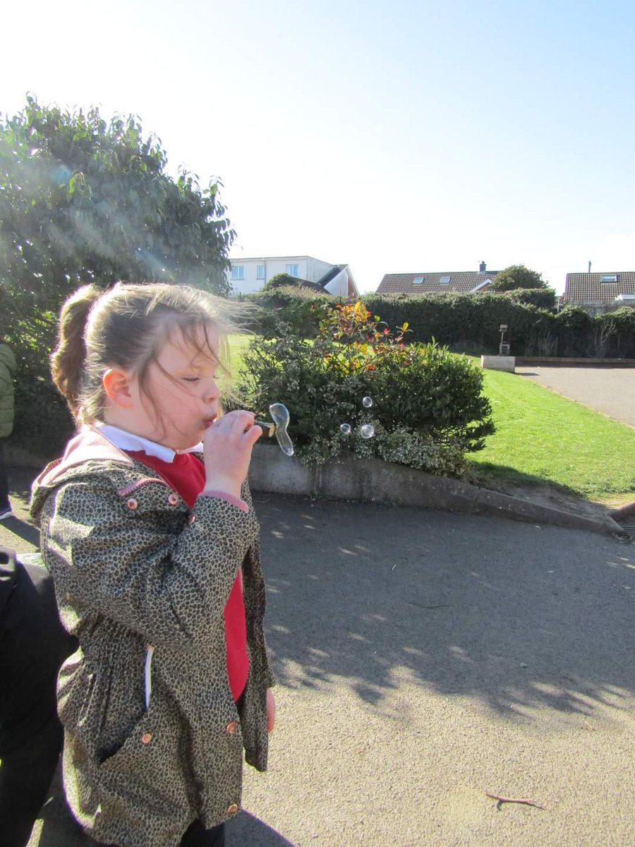 NIForestSchool's tweet image. We had so much fun with at St MacNissi&apos;s PS this morning. We built houses for our toy animals using #natural materials. After break we used #hacksaws and tent pegs to make Elder bubble wands and enjoyed blowing bubbles.
#nifsa #learningwithoutwalls #learningoutdoors #forestschool