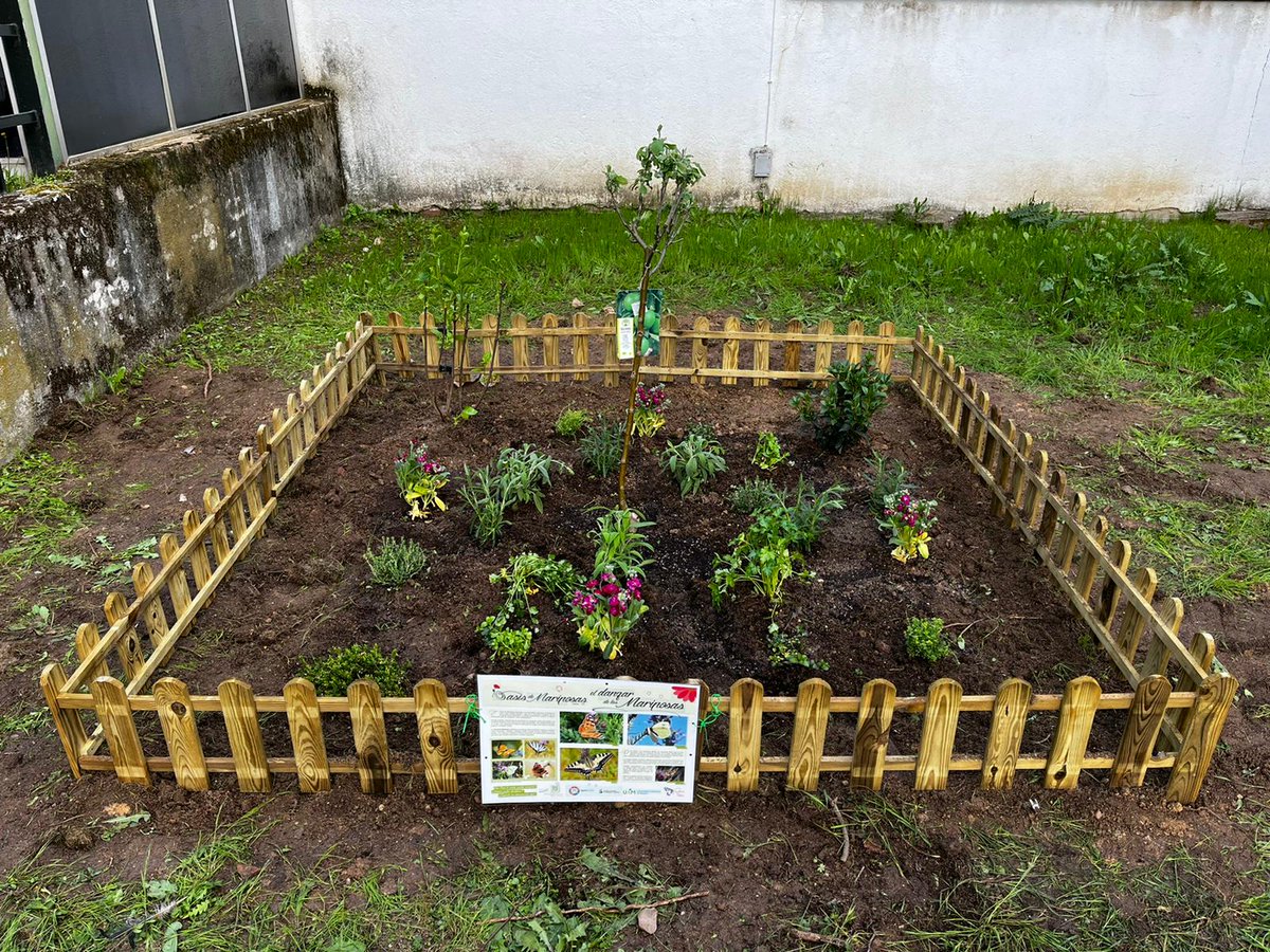 Rosa Gálvez tweet media