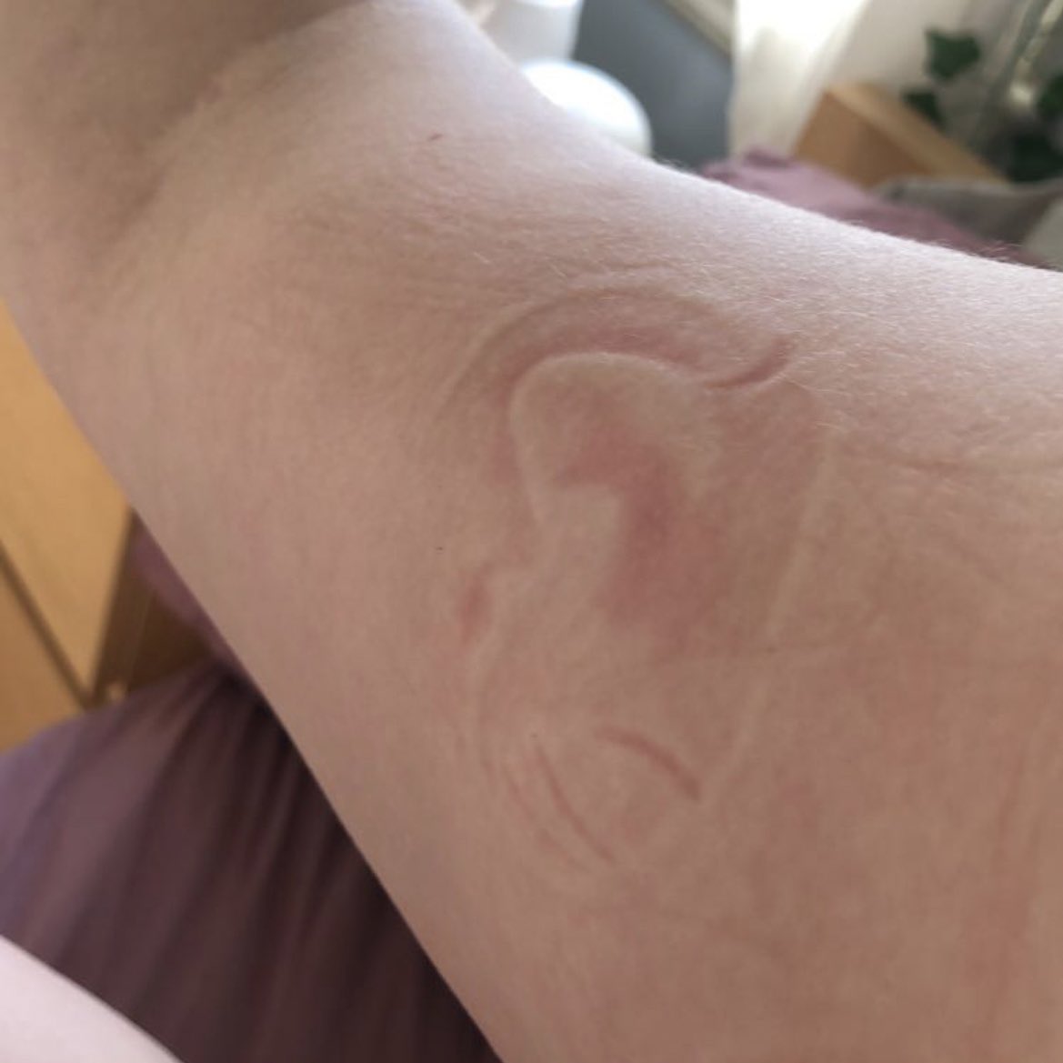 Speedy McGee tweet media