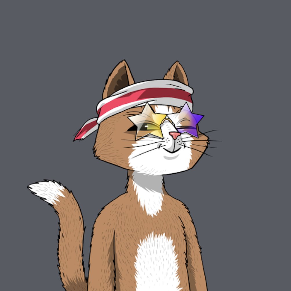 Chadolinhi's tweet photo. Added one more cat to my collection! Just had to secure a redlined bandana 0,82%!! The cat itself is #291 on @raritytools ππ§Ή #MCV @MarsCatsVoyage #aliendrop #meow https://t.co/zBkvBZkL6V