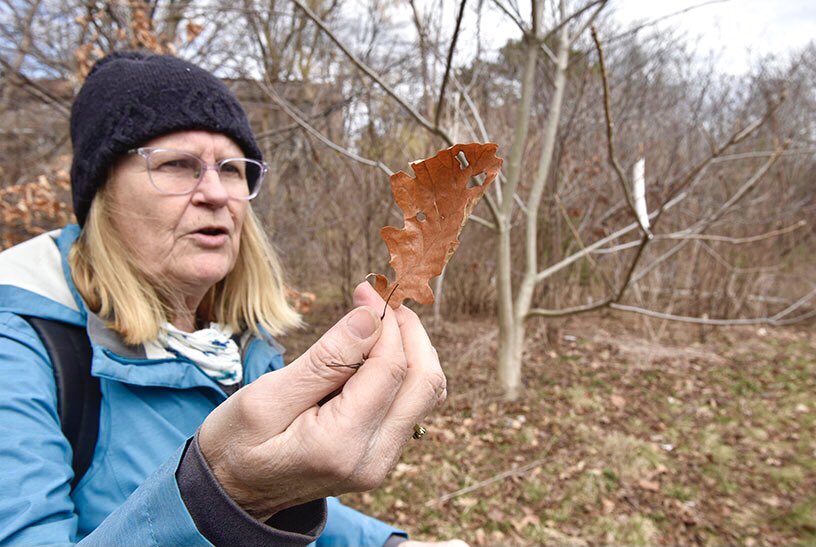 Graham Paine tweet media