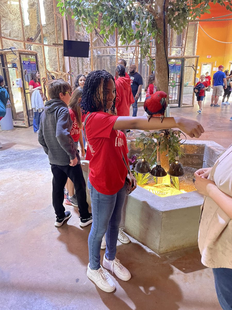 Aaron Austin, M ED tweet media