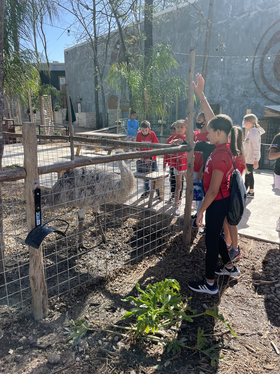 Aaron Austin, M ED (@mraustin_fce) on Twitter photo <a href="/FifthGrade_FCE/">FifthGrade_FCE</a> had their field trip today at the Interactive Aquarium. I ❤️ when kids just enjoy being kids. Everyone was happy and planned on asking their parents to take them back. Thanks to <a href="/MsJones_FCE/">Sasha Jones</a> & <a href="/MsJenkins_FCE/">Tiffany Jenkins</a> for planning the event. <a href="/FifthGrade_FCE/">FifthGrade_FCE</a> had their field trip today at the Interactive Aquarium. I ❤️ when kids just enjoy being kids. Everyone was happy and planned on asking their parents to take them back. Thanks to <a href="/MsJones_FCE/">Sasha Jones</a> & <a href="/MsJenkins_FCE/">Tiffany Jenkins</a> for planning the event.