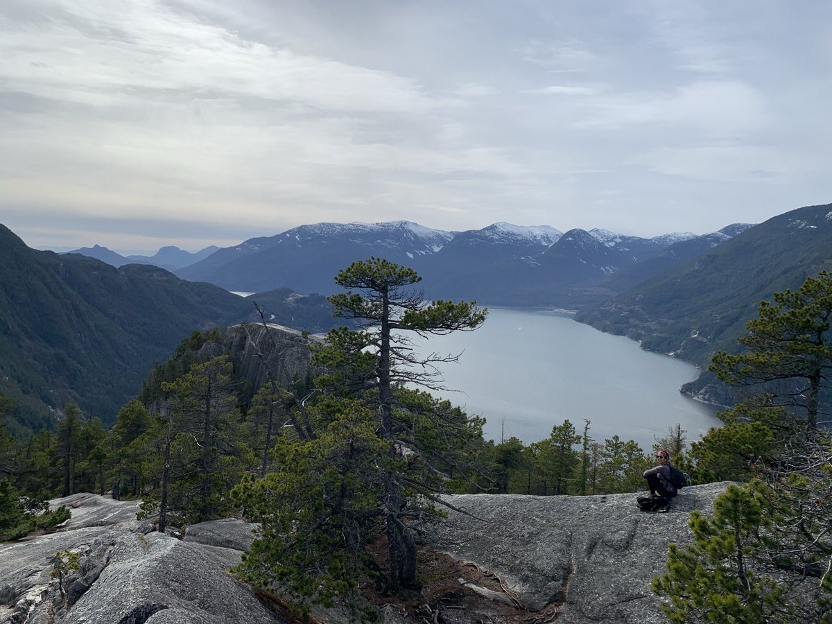 namastrisha's tweet photo. Last week I hiked #chiefmountain in #squamish, my partner pushed me to complete the whole thing. I started crying from pure fear at the top with the steep cliffs and chains but I did it and boy was it worth it! 2022 was about doing stuff that scares me so here we are! #2022goals https://t.co/mbh8UYF4JI