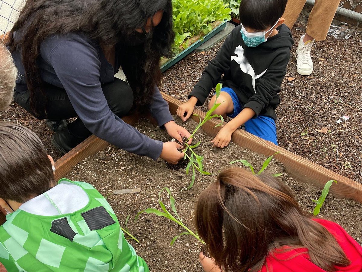 DowneyVikes's tweet photo. our amazing Botany students, led by teacher @MsLeeDHS, spent the day @ImperialDowney helping elementary students build a garden of their own! 🌱✨ now that’s the Vike Vibe ✌🏼✌🏼💚💚 https://t.co/Wjc22cEhF7