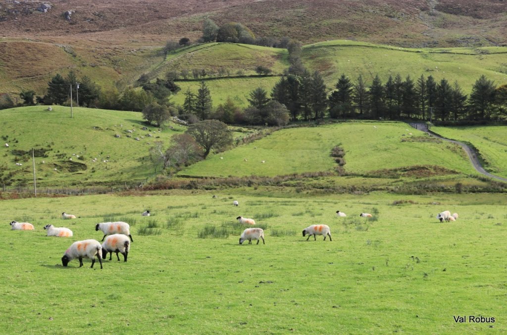 Val 📷 tweet media