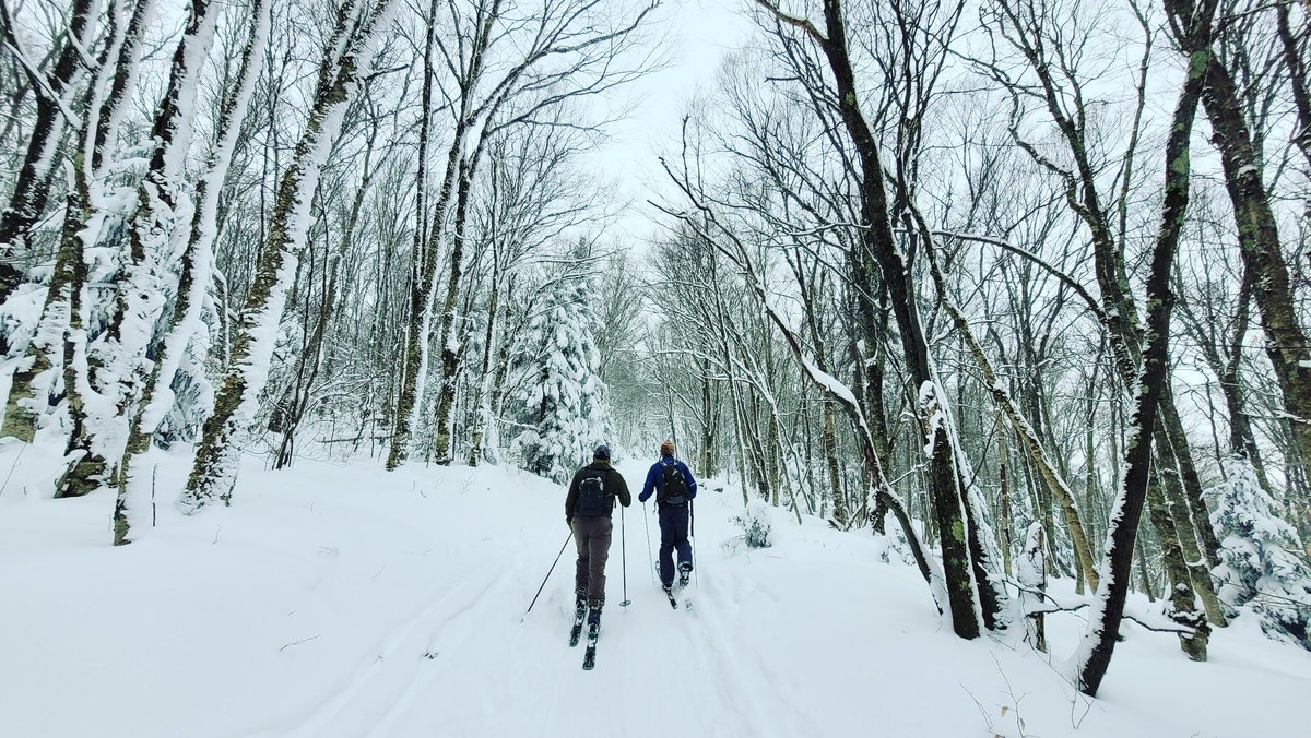 TuckerCounty_WV's tweet photo. In the ski industry there is that saying about a βMiracle Marchβ.
We certainly got a taste last weekend! 14'' of snow.
Thanks to @highland_outdoors for the pics at White Grass.
#skithevalley #canaanvalley #daviswv https://t.co/QF0gu9Iuwb