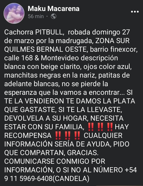 jimenadequilmes's tweet photo. MÁXIMA DIFUSIÓN!!!⚠️💞ESTA BEBÉ DEBE REGRESAR CON SU FAMILIA LO ANTES POSIBLE!!!🙏💓Desde ya, muchas gracias!!!🐶🤗❤️ #Quilmes #BernalOeste #BarrioFinexcor #PerraRobada #GenteRota #NoAlMaltratoAnimal https://t.co/swhzDHEkCc