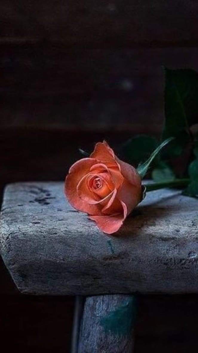 SUSAN-K (@susank34496625) on Twitter photo 