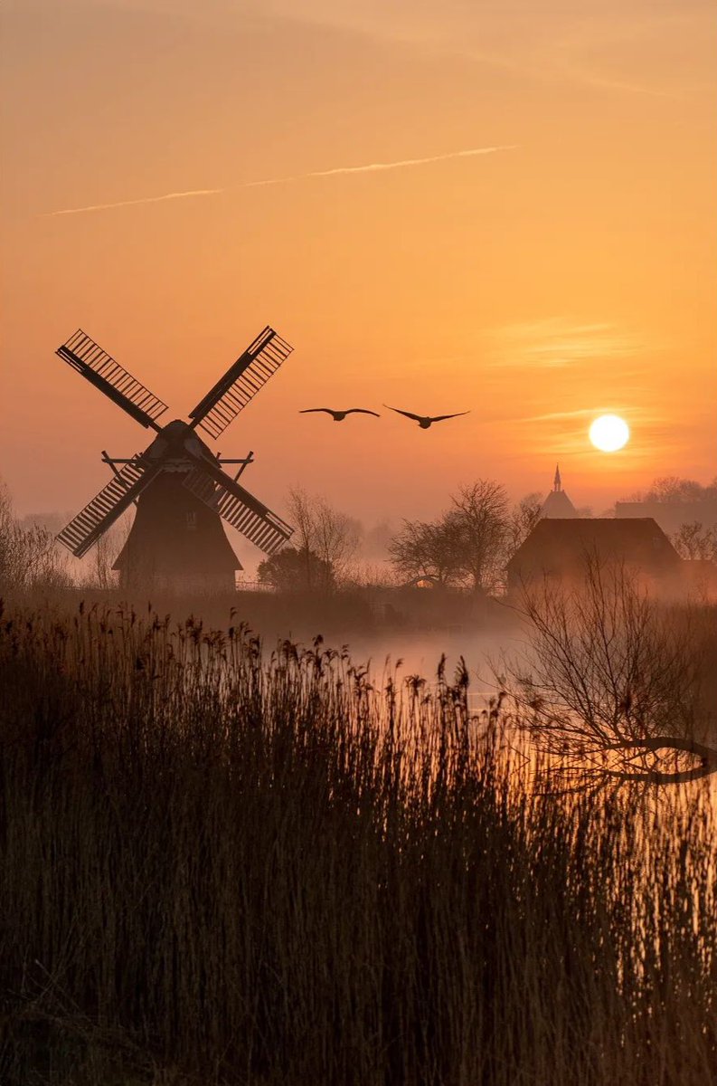 Fijne #TerugVolgVrijdag. Wie ons volgt, volgen wij terug. Net als alle andere dagen van de week. Liefs, #TeamPositief

📸 Martijn Bloemhard #Goedemorgen