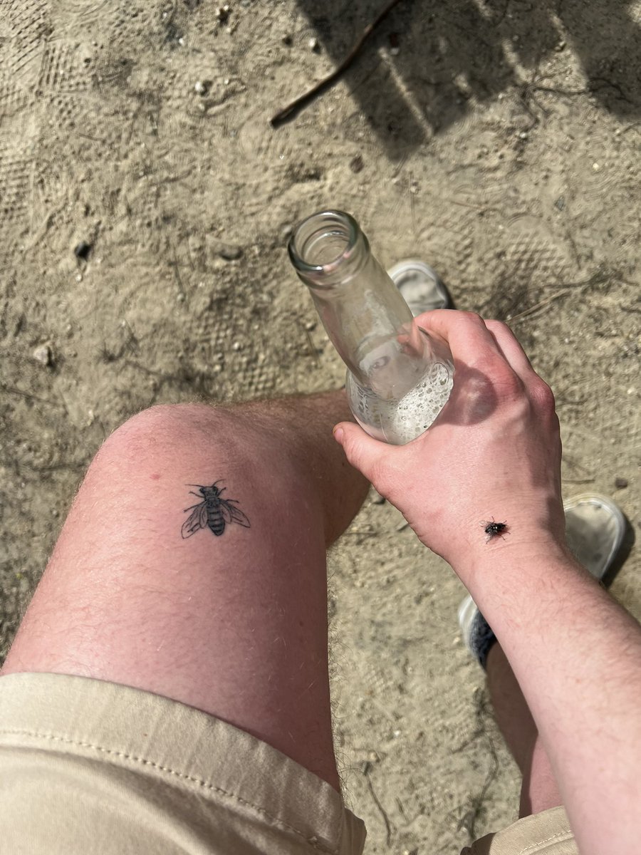 xaycob's tweet image. Love camping