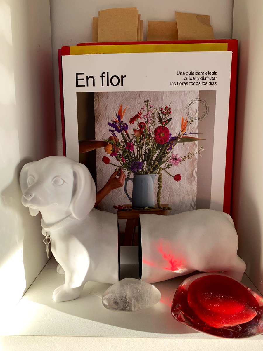 hollynat's tweet photo. Cristóbal, guardián de #EnFlor https://t.co/mVNQFFaUtO