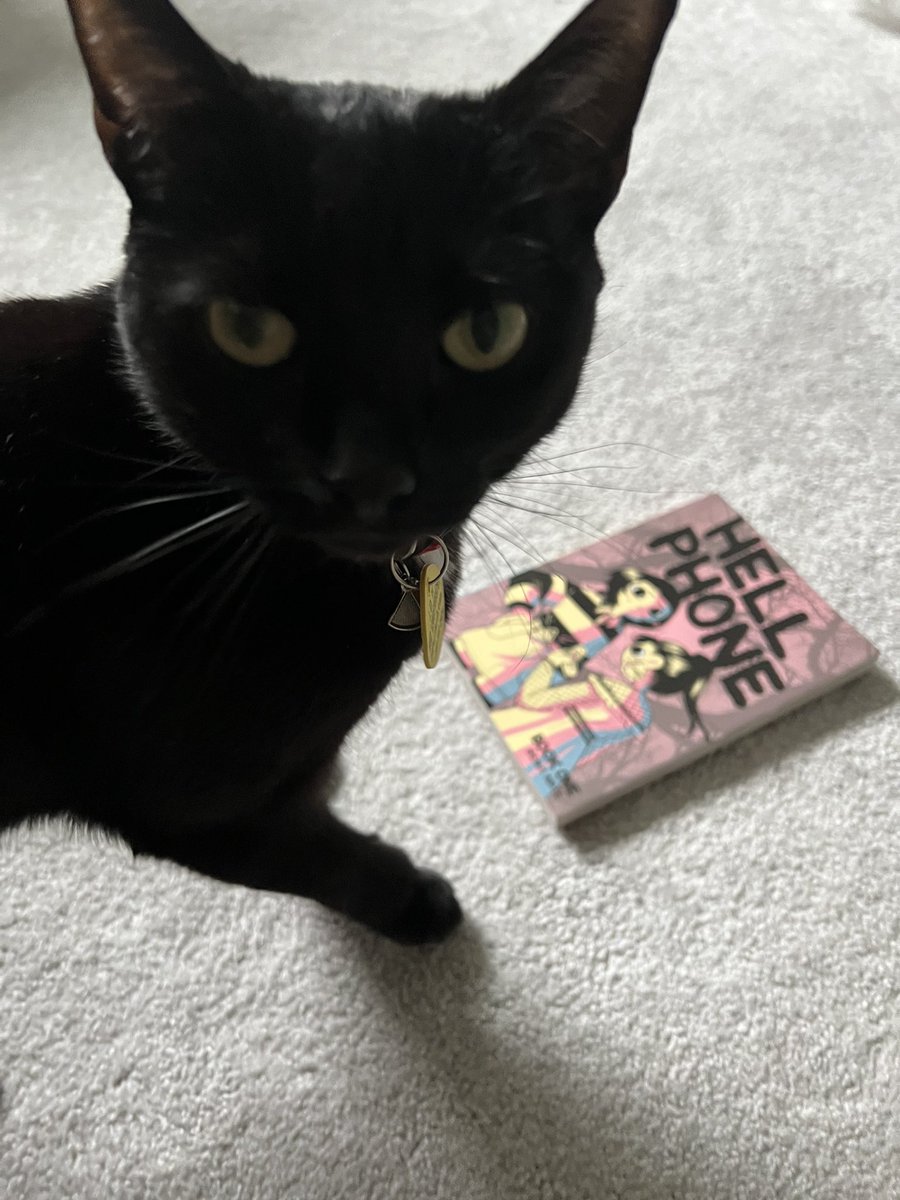Nosocialize's tweet photo. This is how I find out Gizmo follows @MouthDork’s feed. She didn’t even get me one and won’t share!
#mangacat #CatsOfTwitter #HellPhone https://t.co/Jka6l0Q53p