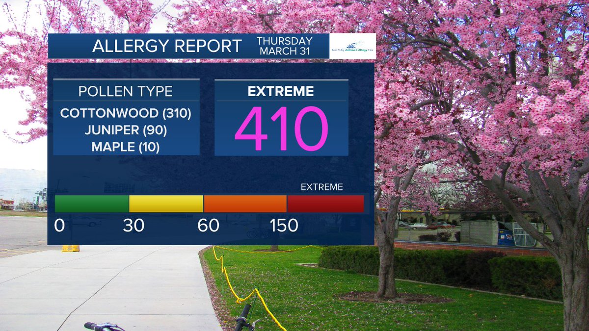 IdahoNews6's tweet photo. The pollen count continues in the extreme category at 410! Keep checking back for updates from Boise Valley Asthma &amp; Allergy Clinic. https://t.co/ZdyjCJu9bA #weather #boiseweather #6onyourside https://t.co/WbS5wVljZY