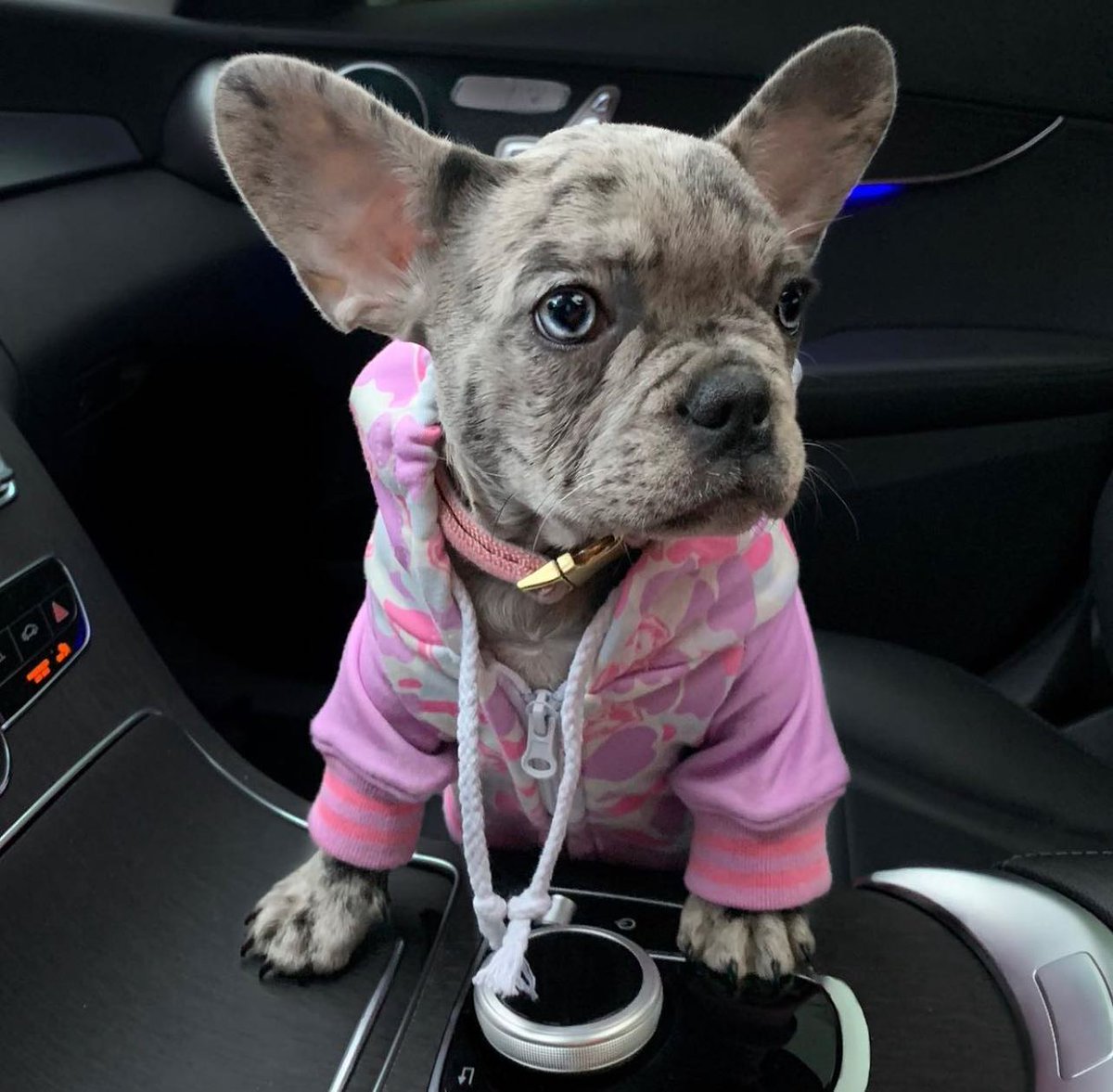 Pretty in pink 💖: