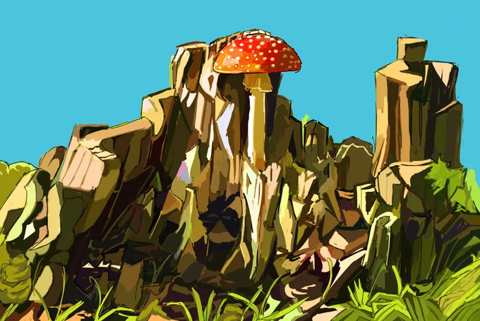 🍄 