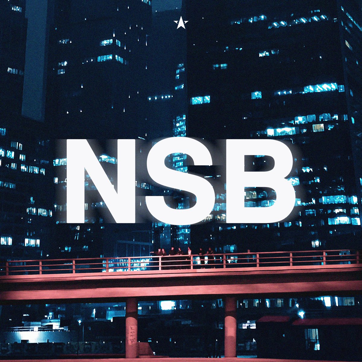 NSB tweet media