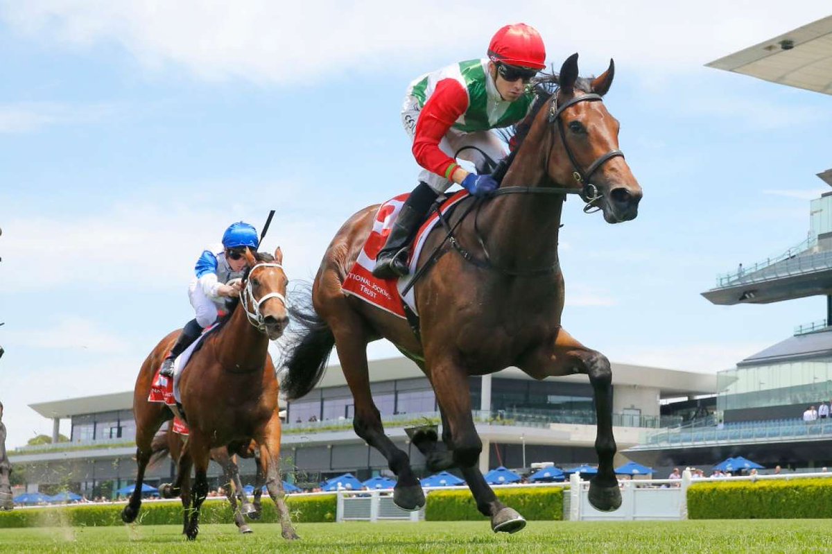RSN927's tweet photo. β°JOIN @m_felgate LIVE from 8.30am for #RacingPulse
π @cmaherracing
π @MickPriceRacing
π @GaryPortelli
Then @TheSharkTweet for the #FridayFormFocus https://t.co/vhuVcc8eqm