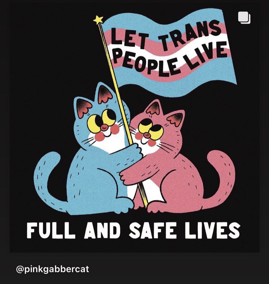 Been quiet a while. Here now to appreciate and celebrate trans people on this #TransDayOfVisibility Wherever you are in your journey through &amp; with gender, I support you.