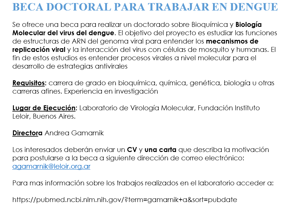 Con mucho entusiasmo volvemos a trabajar en virología molecular de dengue y Zika, despues de dos años de trabajo casi exclusivo en la pandemia
Tenemos una beca para hacer el doctorado, si tenes MUCHAS ganas de hacer investigación y te copa el tema te dejo abajo el llamado....👇👇