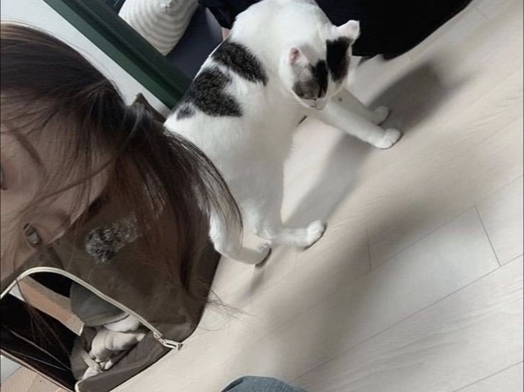 f9kitties's tweet photo. chaeyoung as hayoung https://t.co/mNZnoPzNzZ