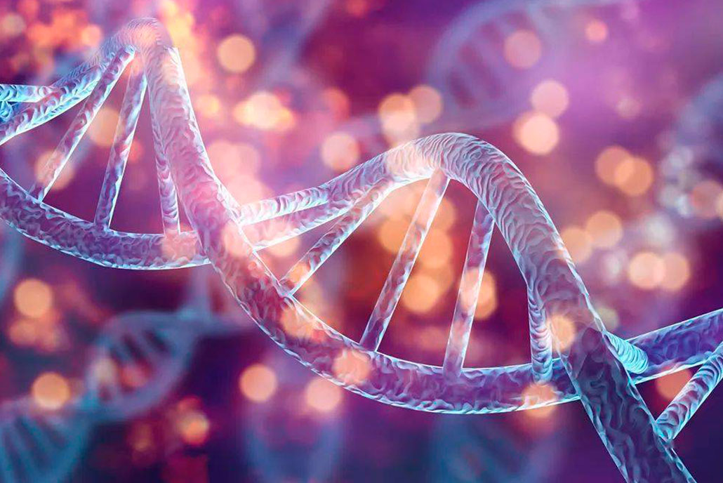 NUEVO HITO EN LA CIENCIA!
Se ha descifrado por primera vez un genoma humano COMPLETO 🧬😱

¿Por qué esto es tan relevante? Te lo explicamos mejor en este pequeño hilo 🧵🧶⬇️