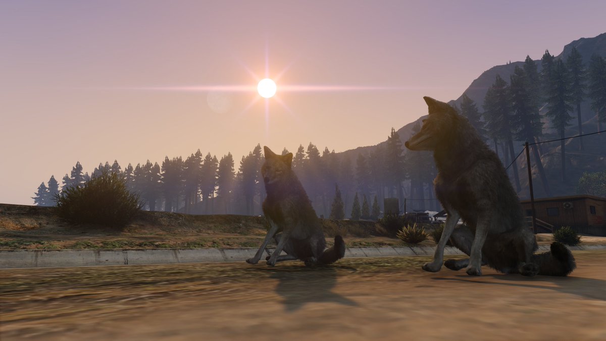 tbmarkus's tweet image. Hey Twitter! ✌️

Jaaaaa - Es ist mal wieder Zeit für neue #gtarp Screens von @UnityLifeDE 📸

Wer genau hinschaut entdeckt auch was "neues". 🦊

Mehr dazu bald in meinen Streams... 🙂