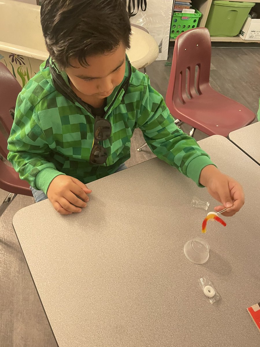 HorganELTOFE's tweet photo. Sammy the worm was capsized and lost his oars! These smart 2nd graders didn’t give up saving him! @svdevillier https://t.co/xmg9O6qN1m