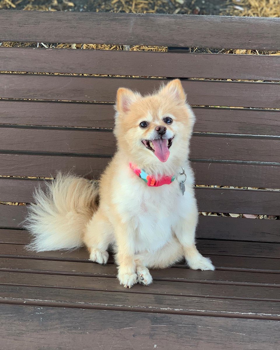 Josh Cravey tweet media