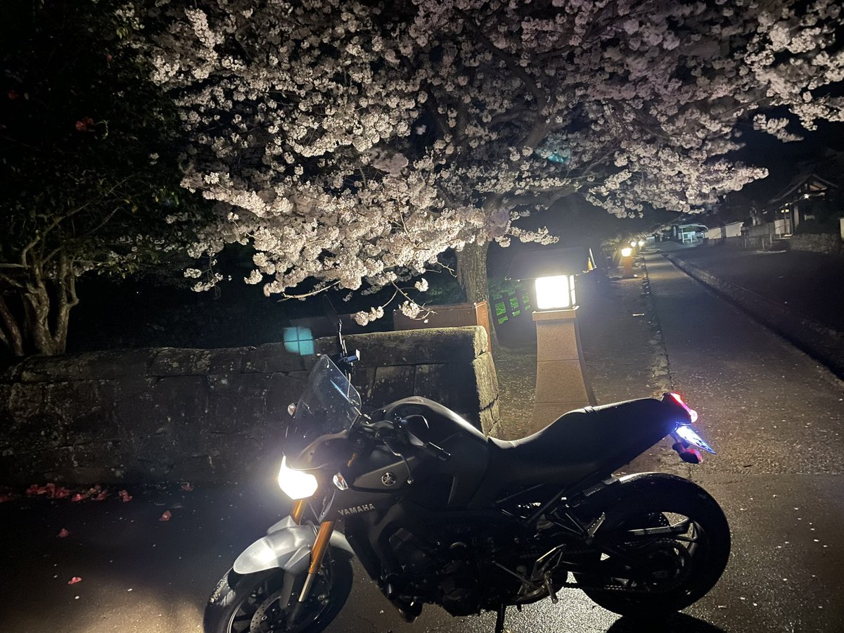 名前：なりボーイ
性別：🚹
年齢：21歳
住み：大分県
身長：165cm
愛車：MT-09
好き：ラーメン🍜、花🌸
一言：バイク初心者です！
#バイク乗りとして軽く自己紹介  #YAMAHA