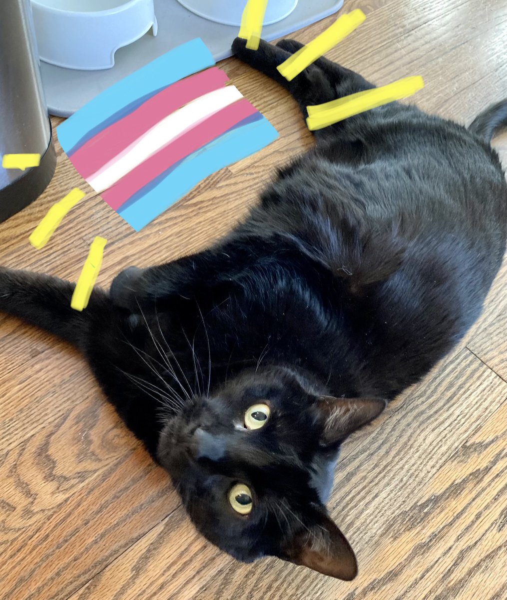 🇺🇦Midnight Daily💙💛 tweet media