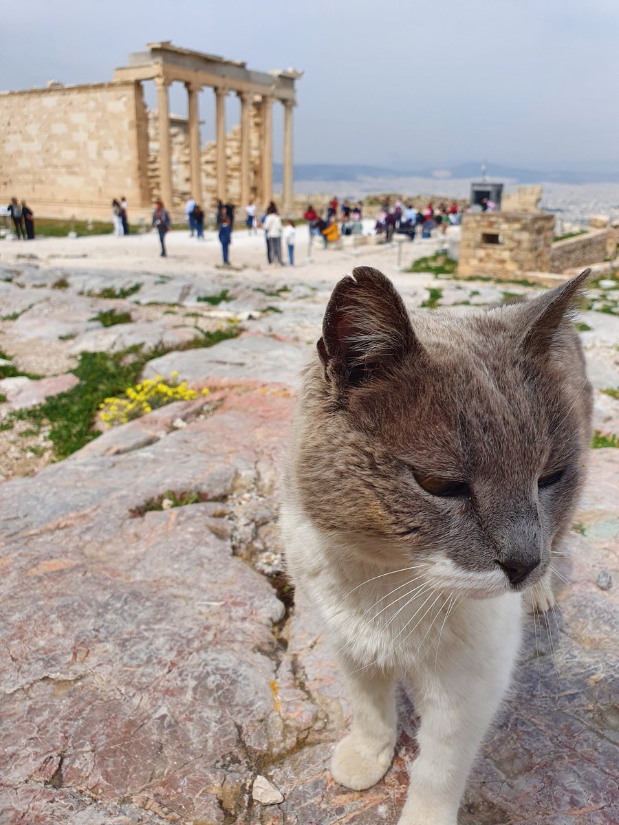 Making friends at Akropolis.