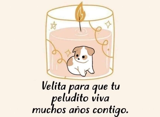 cosito de la pizza (@elcosodelapizza) on Twitter photo 