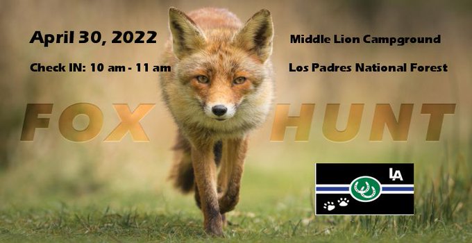 It is almost Fox Hunt time!!! Ollie and I will be EZ Camping in an RV. Ollie loves The Hunt and Egg,